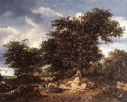 RUISDAEL, Jacob Isaackszon van The Great Oak af oil painting artist